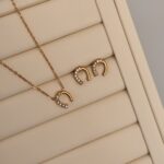 Lucky Horseshoe Set
