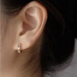 Rainbow Shingle Hoop Earrings