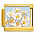 Daisies