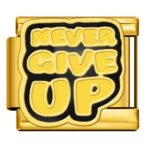 Never Give Up