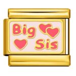 Big Sis